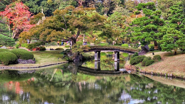 footbridge over lake by trees in park