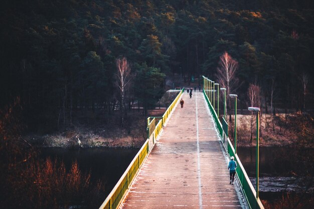 Photo footbridge over lake