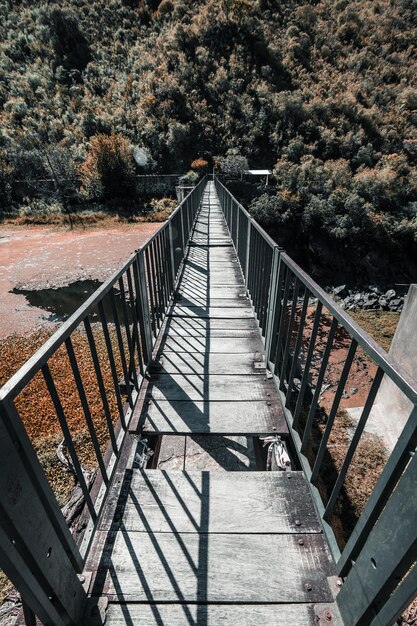 Foto ponte pedonale che conduce verso gli alberi nella foresta