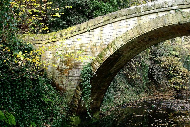 footbridge over pond