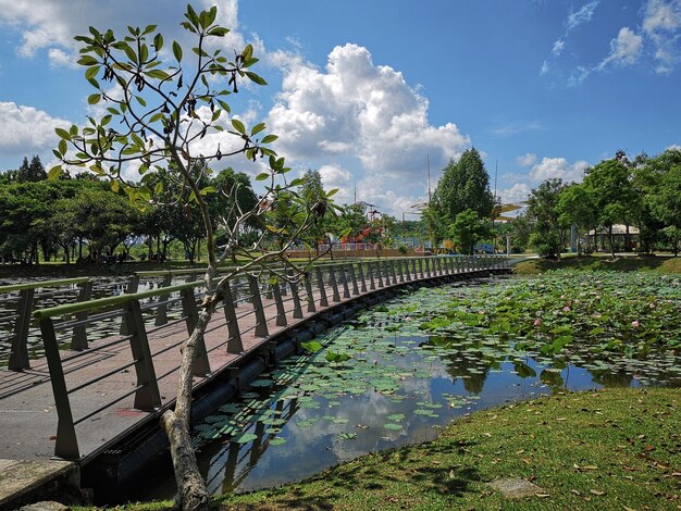 Foto ponte pedonale sopra lo stagno