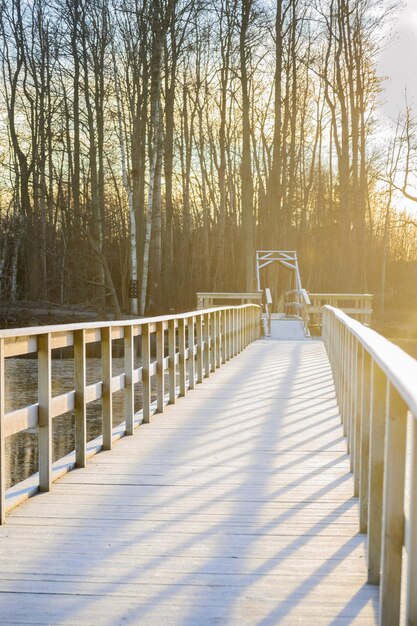 Footbridge over river against trees on sunny day