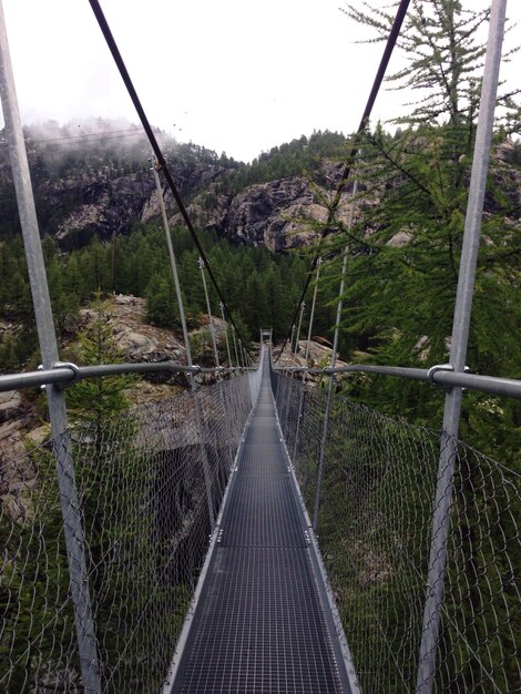 Photo footbridge over river in forest