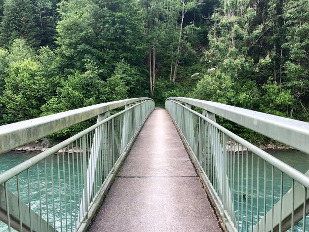 Foto ponte pedonale sul fiume nella foresta