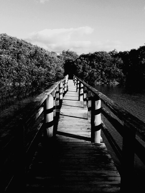 Footbridge over river