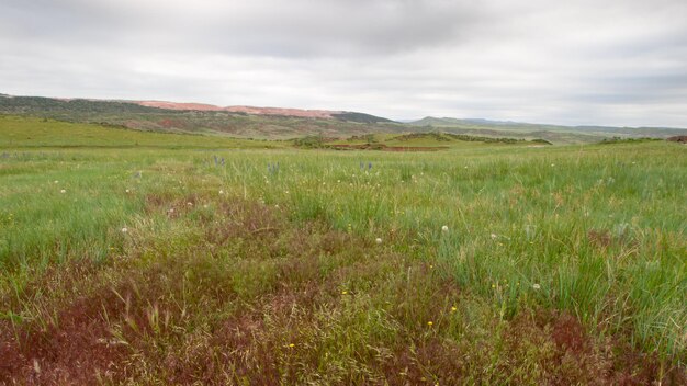 Foothill landscape in Fort Colling, Colorado.