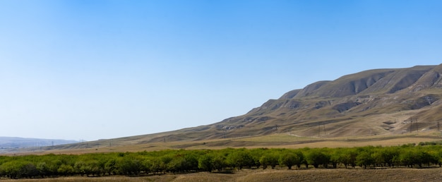 Foothill landscape with river and trees