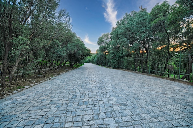 アテネのアクロポリスへの小道