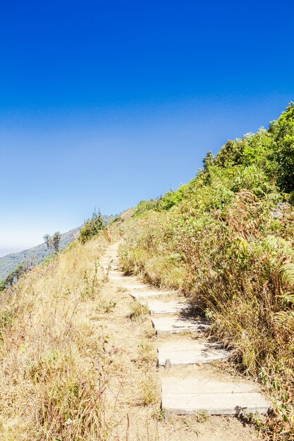 산을 따라 보도