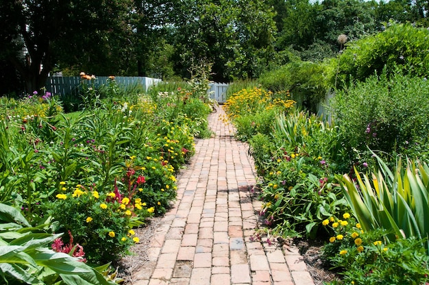 植物に沿った歩道