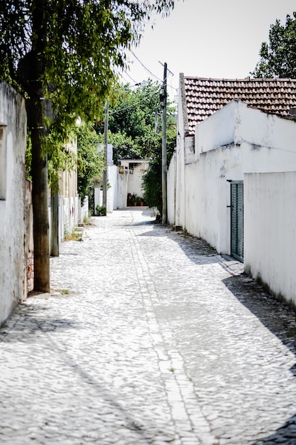 Photo footpath amidst buildings in town