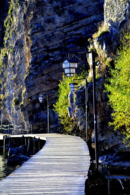 Photo footpath amidst plants and rocks