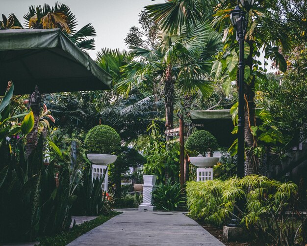 Photo footpath amidst plants and trees in garden