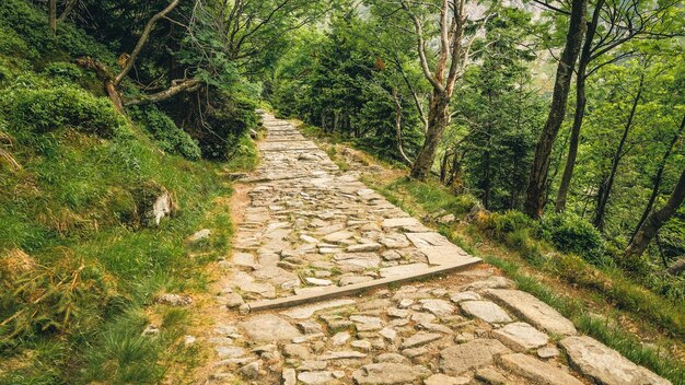 Photo footpath amidst stone wall