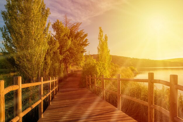 Footpath amidst trees against sky during sunset