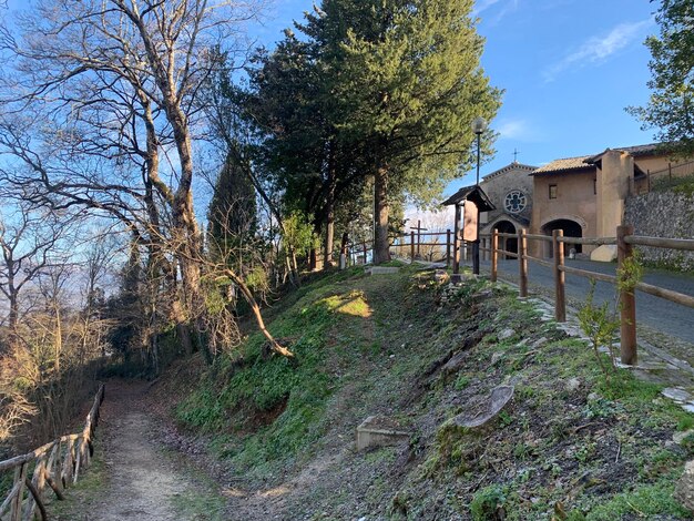 Foto sentiero tra alberi e edifici contro il cielo