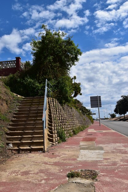 Footpath amidst trees and buildings against sky