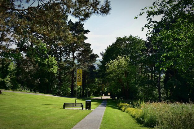 写真 公園の木の間にある歩道