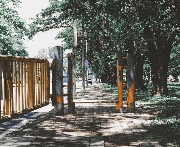 Photo footpath amidst trees in park