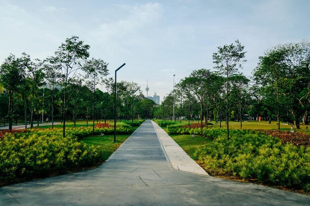 空の向こうにある公園の木や植物の中の歩道