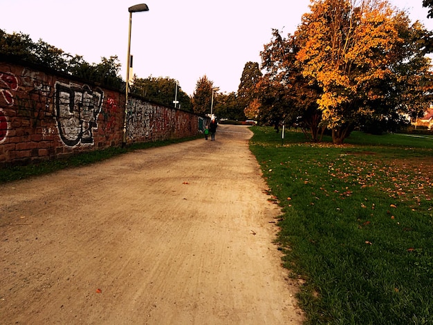 Photo footpath amidst trees