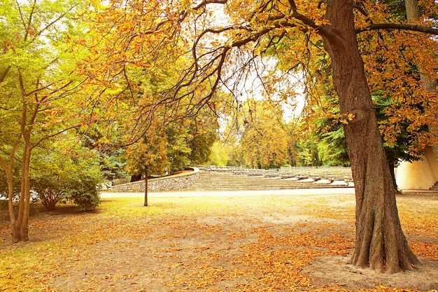 Footpath in beautiful autumn park