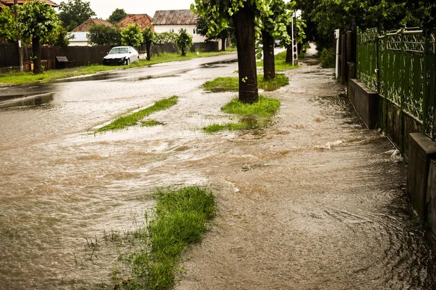 Foto cammino pedonale sul canale nel parco