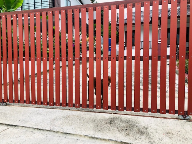 Фото Пешеходная тропа через забор против стены