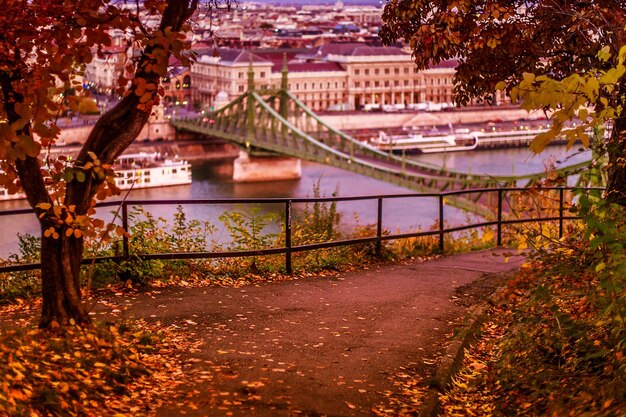 Photo footpath by railing against liberty bridge over river during autumn