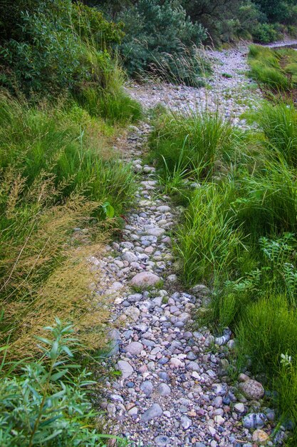 Photo footpath in field