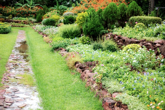 Footpath and flower in park.