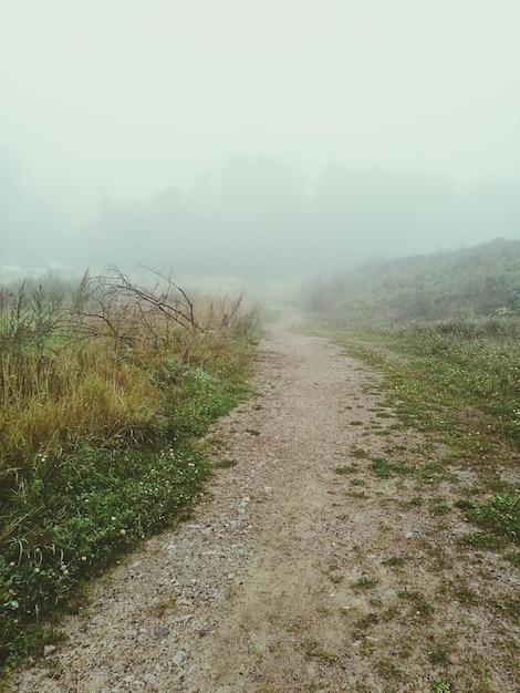 Photo footpath in foggy weather