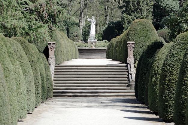 Foto sentiero in giardino