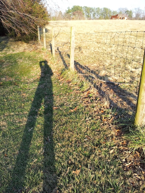 Footpath on grassy field