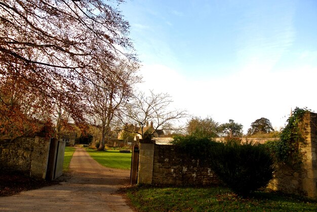 Footpath on grassy field