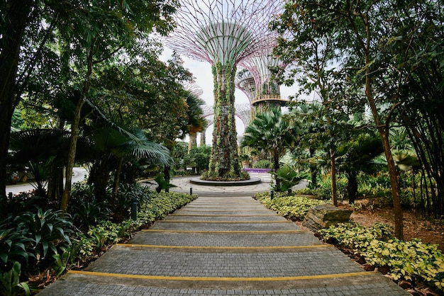 Фото Пешеходная тропа в садах у залива сингапура
