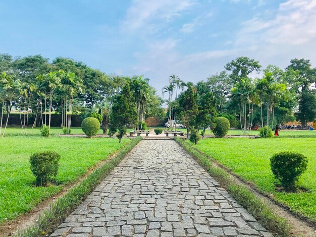 写真 空に照らされた公園の歩道