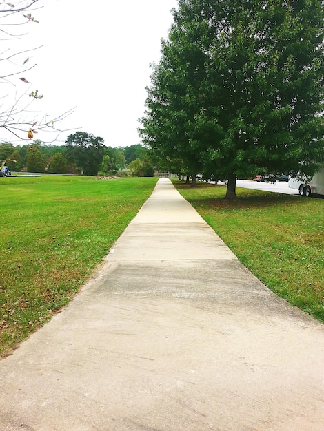 Footpath leading to grassy field