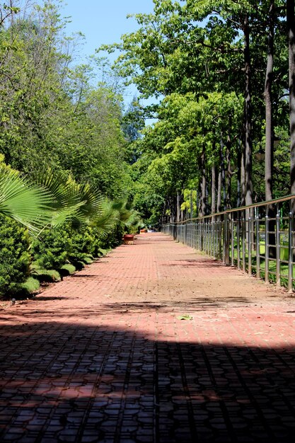 A footpath near the rock garden Almatti