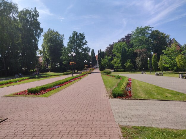 Photo footpath in park against sky