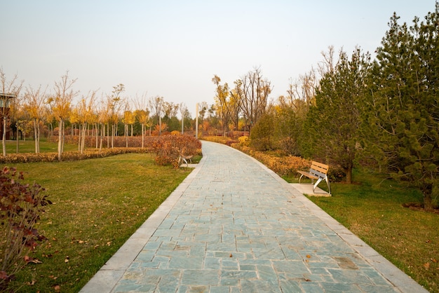 Footpath in the park in autumn