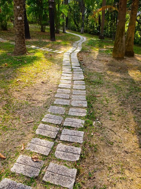 Footpath in park