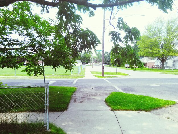 Photo footpath in park