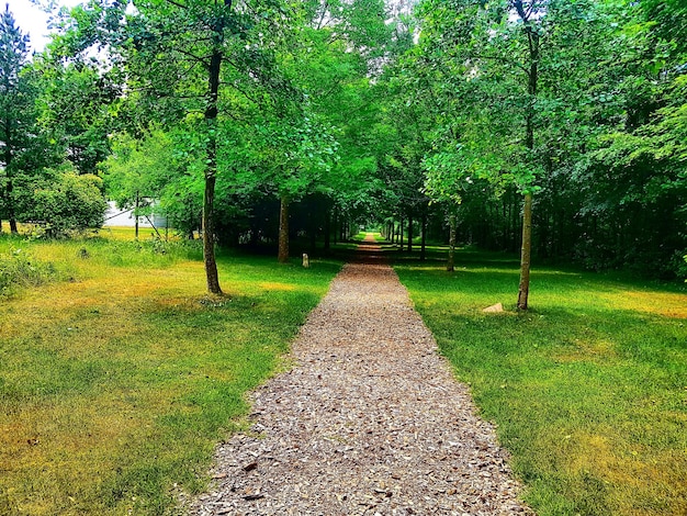 Foto sentiero nel parco