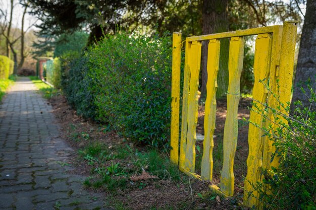 Foto sentiero nel parco