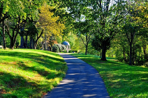 Photo footpath in park