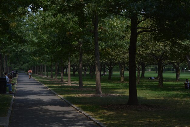 Photo footpath in park