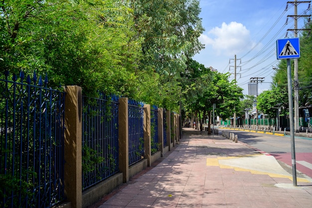 公園の歩道