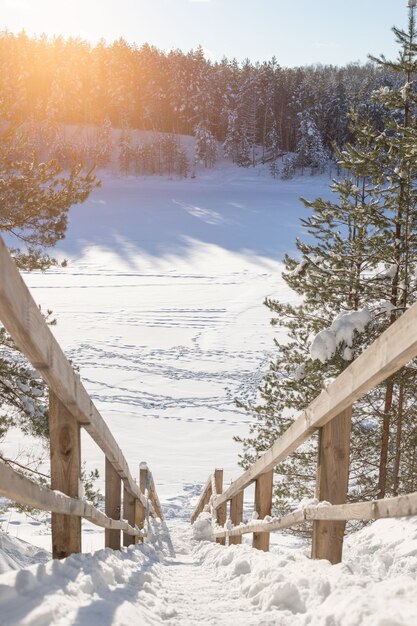 Footpath in snowy winter forest