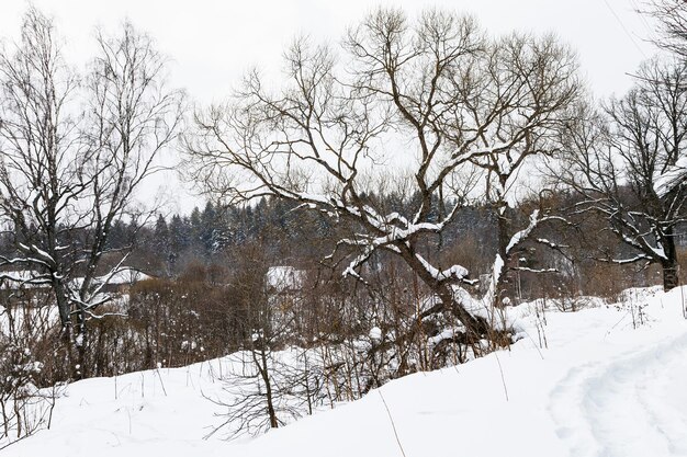冬の古いロシアの村の小道と景色